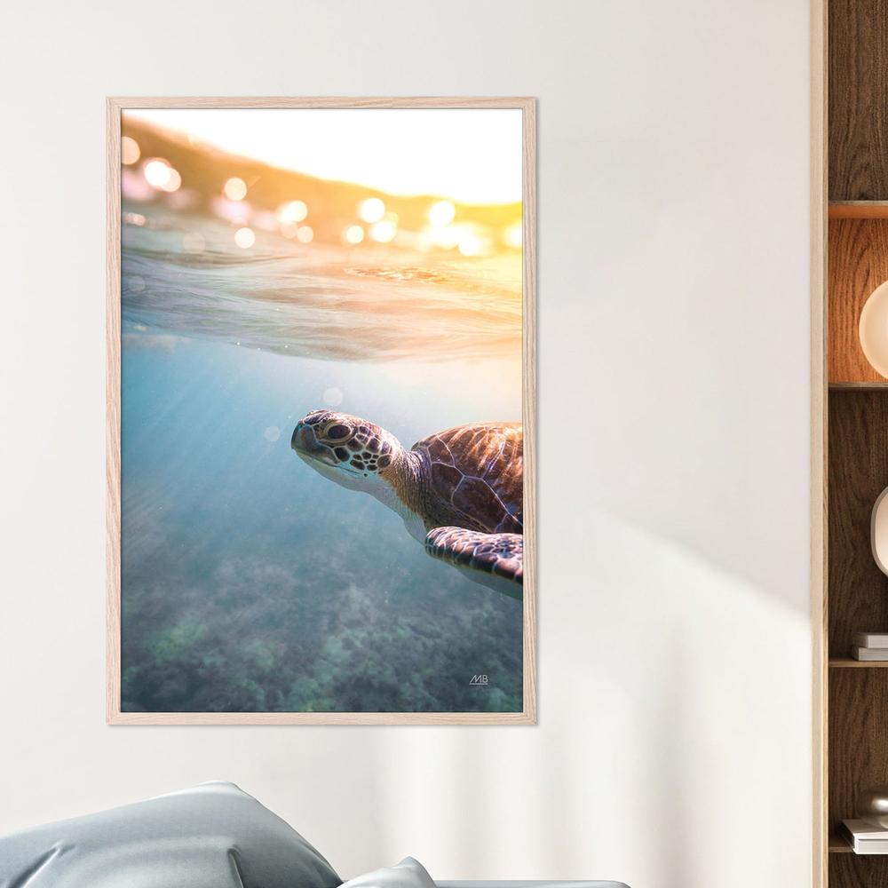 Sunny Swim-by-Max Blakesberg Studios-wall-art-print-canvas-poster-framed-Gioia