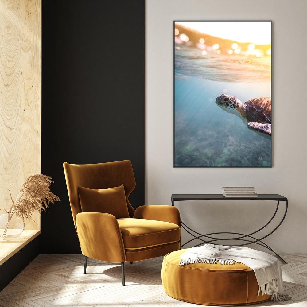 Sunny Swim-by-Max Blakesberg Studios-wall-art-print-canvas-poster-framed-Gioia