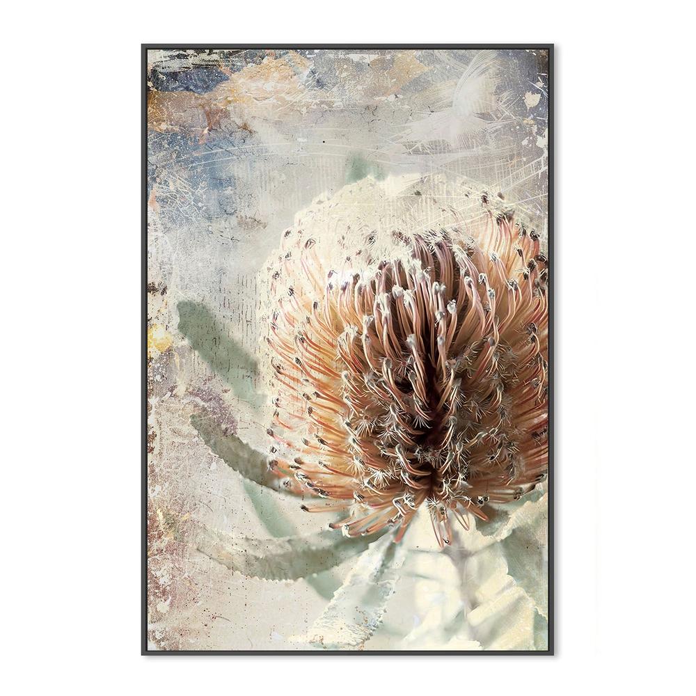 wall-art-print-canvas-poster-framed-Textured Banksia Flower-3