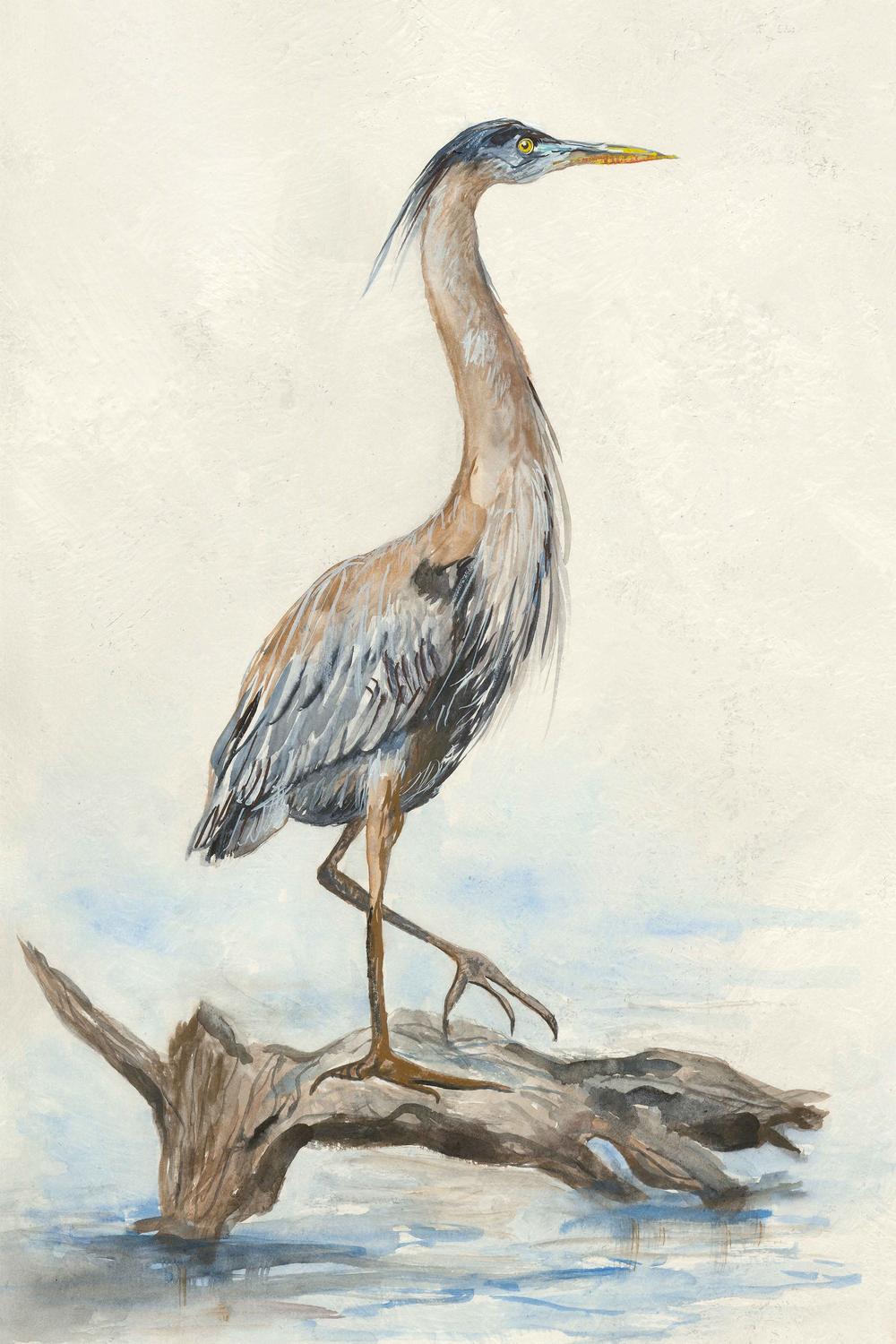 Tranquil Heron-by-Jacob Q-wall-art-print-canvas-poster-framed-Gioia