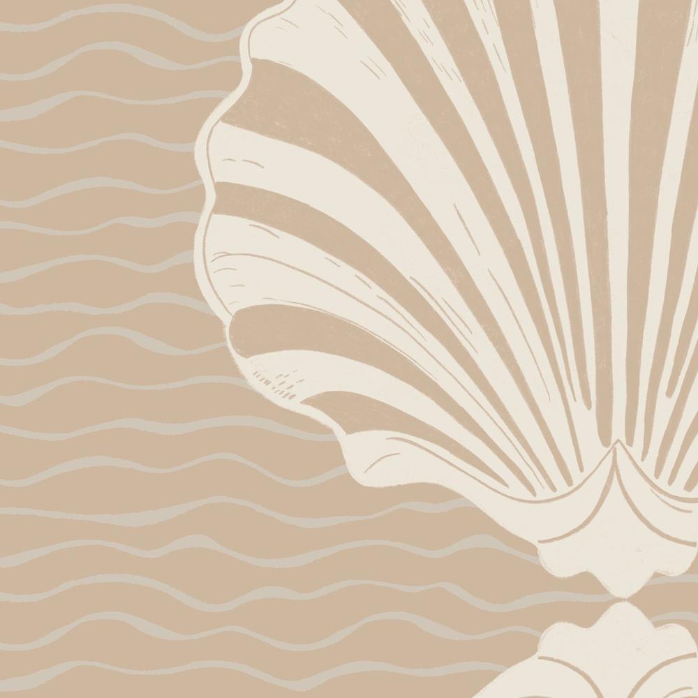 Vintage Coastal Seashells-by-Radhika Modi-wall-art-print-canvas-poster-framed-Gioia