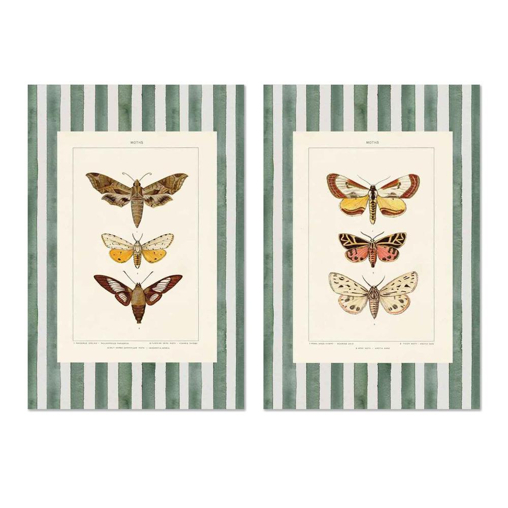 Vintage Moths Stripe, Style A & B, Set Of 2-by-Wild Apple Portfolio-wall-art-print-canvas-poster-framed-Gioia