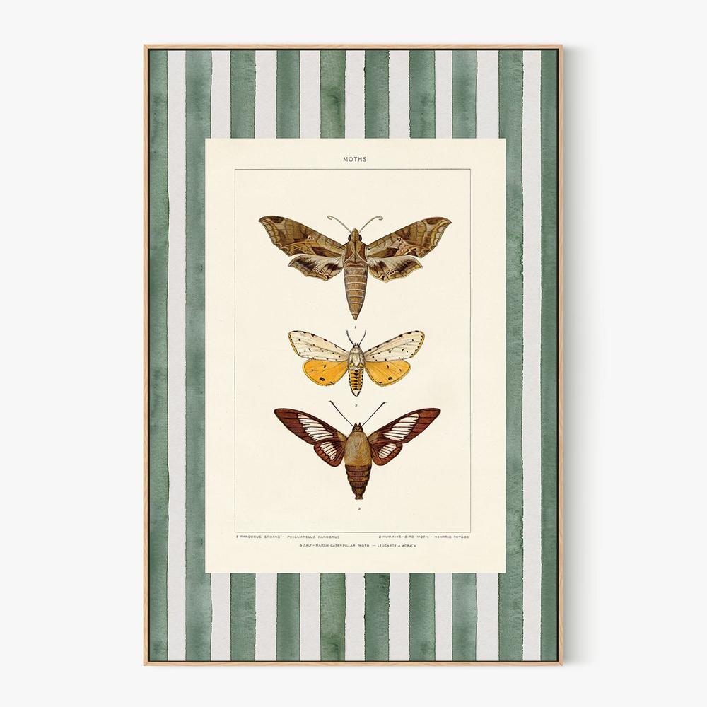 Vintage Moths Stripe, Style A-by-Wild Apple Portfolio-wall-art-print-canvas-poster-framed-Gioia
