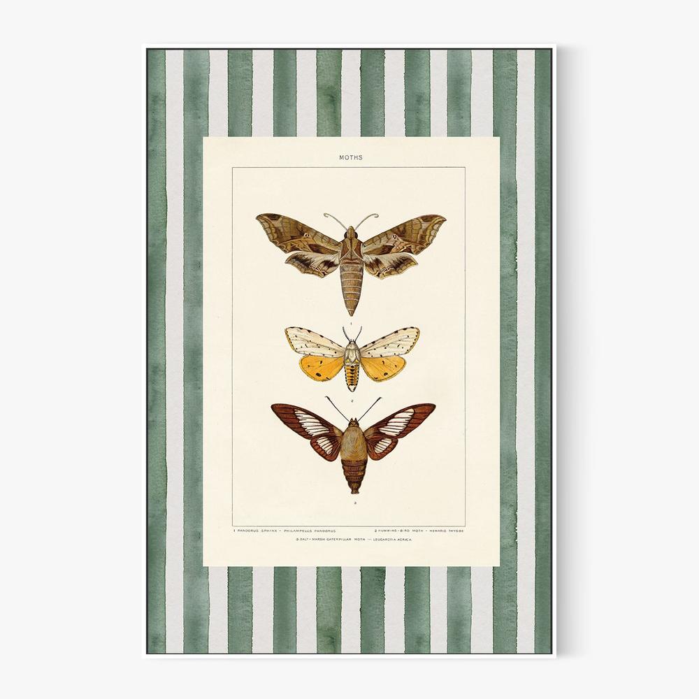 Vintage Moths Stripe, Style A-by-Wild Apple Portfolio-wall-art-print-canvas-poster-framed-Gioia