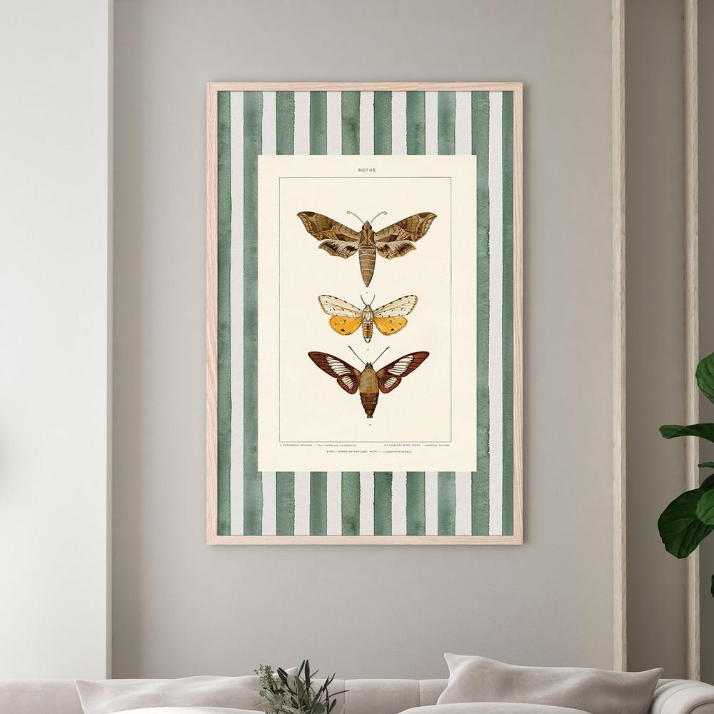Vintage Moths Stripe, Style A-by-Wild Apple Portfolio-wall-art-print-canvas-poster-framed-Gioia