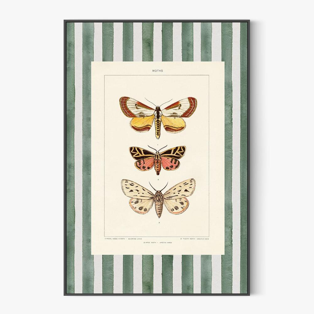 Vintage Moths Stripe, Style B-by-Wild Apple Portfolio-wall-art-print-canvas-poster-framed-Gioia