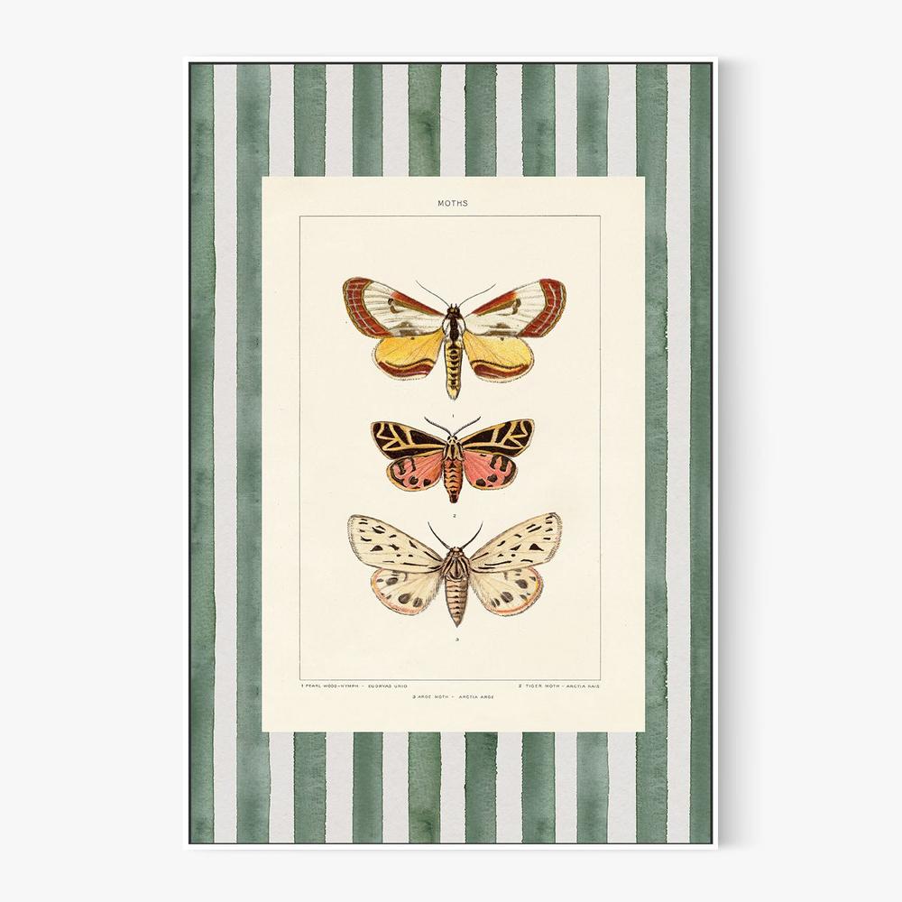 Vintage Moths Stripe, Style B-by-Wild Apple Portfolio-wall-art-print-canvas-poster-framed-Gioia