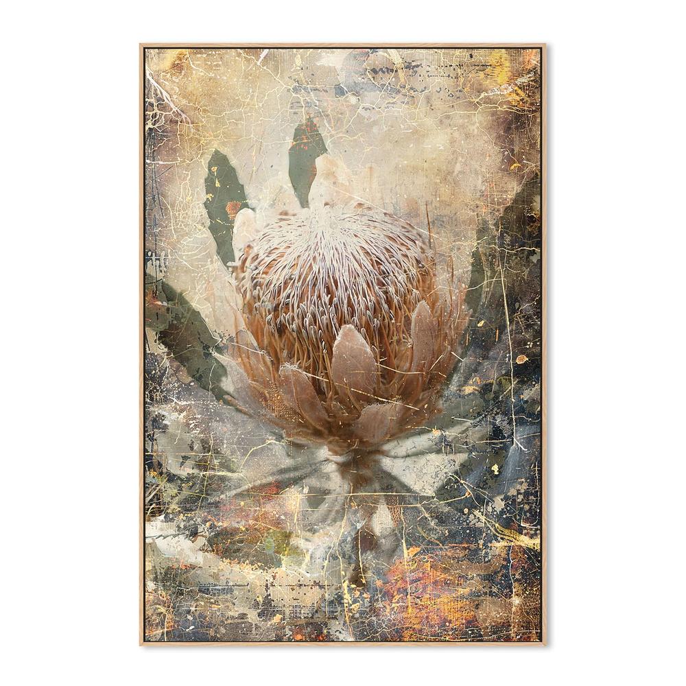 wall-art-print-canvas-poster-framed-Vintage Protea Bloom-4
