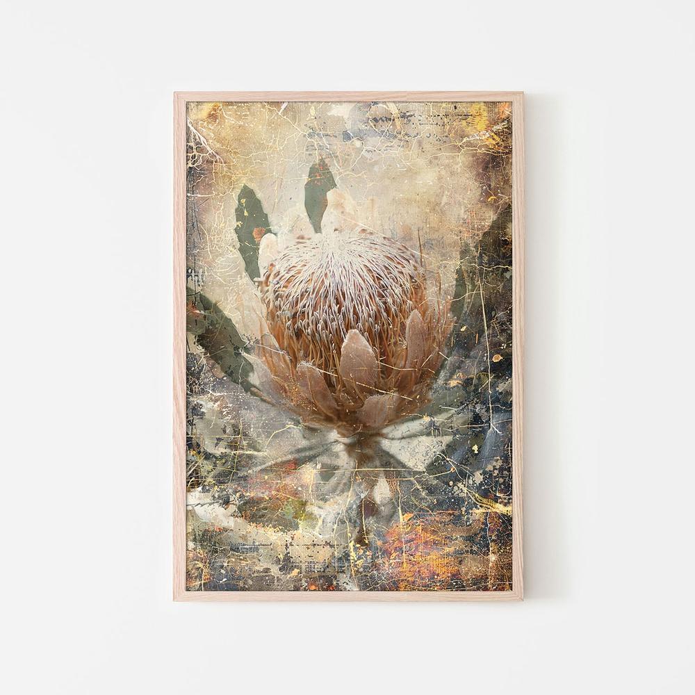 wall-art-print-canvas-poster-framed-Vintage Protea Bloom-6