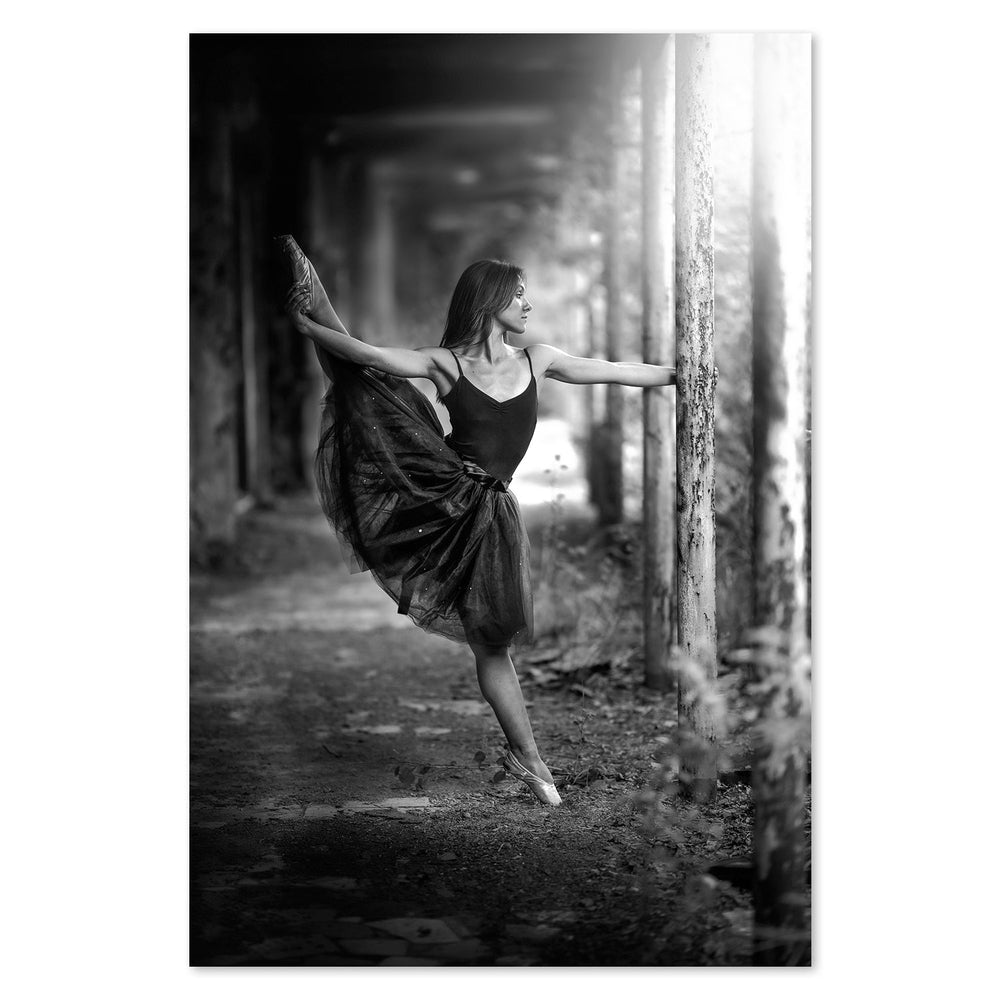 wall-art-print-canvas-poster-framed-_-_, By Domenico Petrocca-by-Plus X Studio-Gioia Wall Art