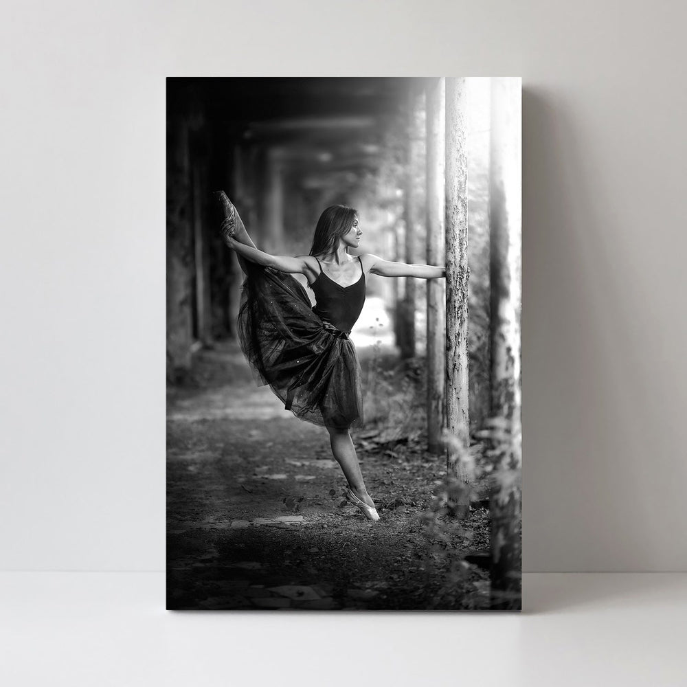 wall-art-print-canvas-poster-framed-_-_, By Domenico Petrocca-by-Plus X Studio-Gioia Wall Art