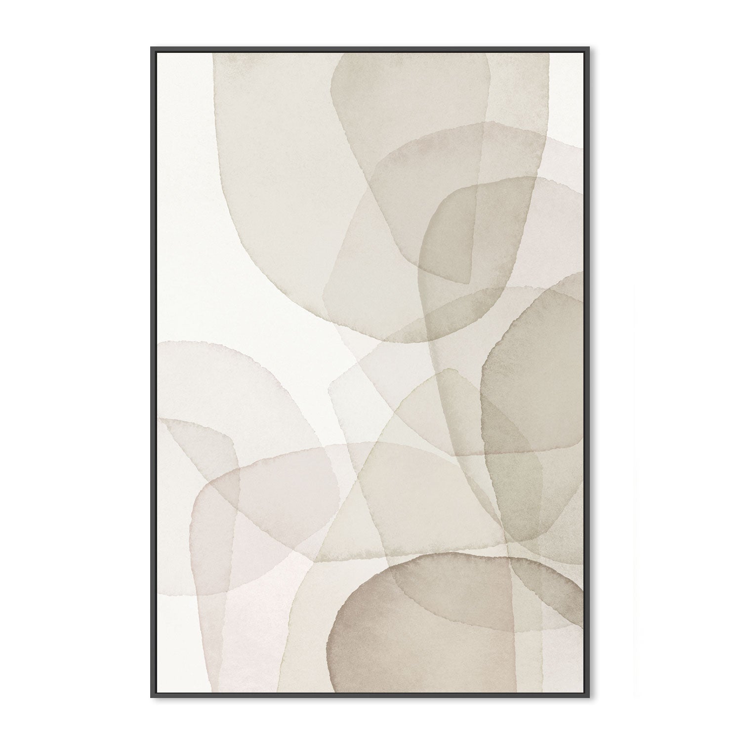 wall-art-print-canvas-poster-framed-Abstract White Petal-by-Dear Musketeer Studio-Gioia Wall Art