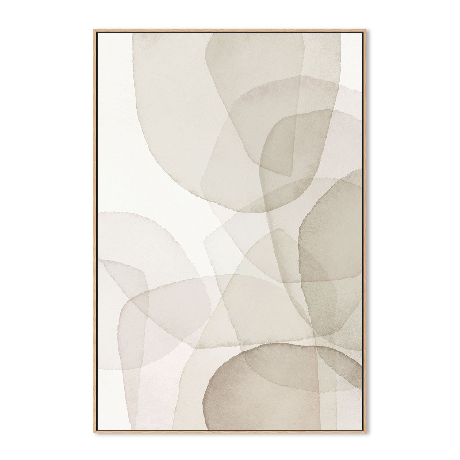 wall-art-print-canvas-poster-framed-Abstract White Petal-by-Dear Musketeer Studio-Gioia Wall Art