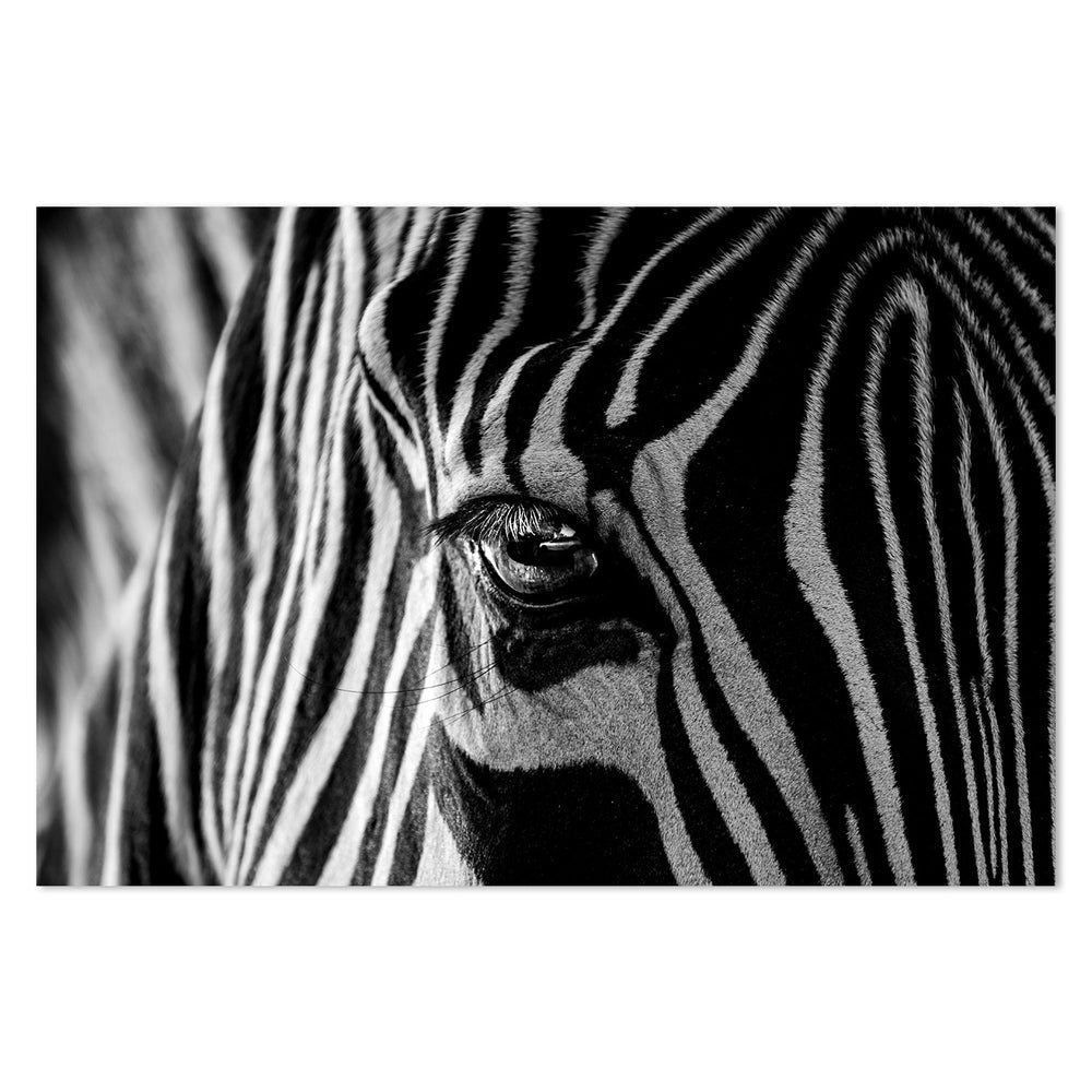 wall-art-print-canvas-poster-framed-Abstract Zebra, By Roy Darnell-by-Plus X Studio-Gioia Wall Art