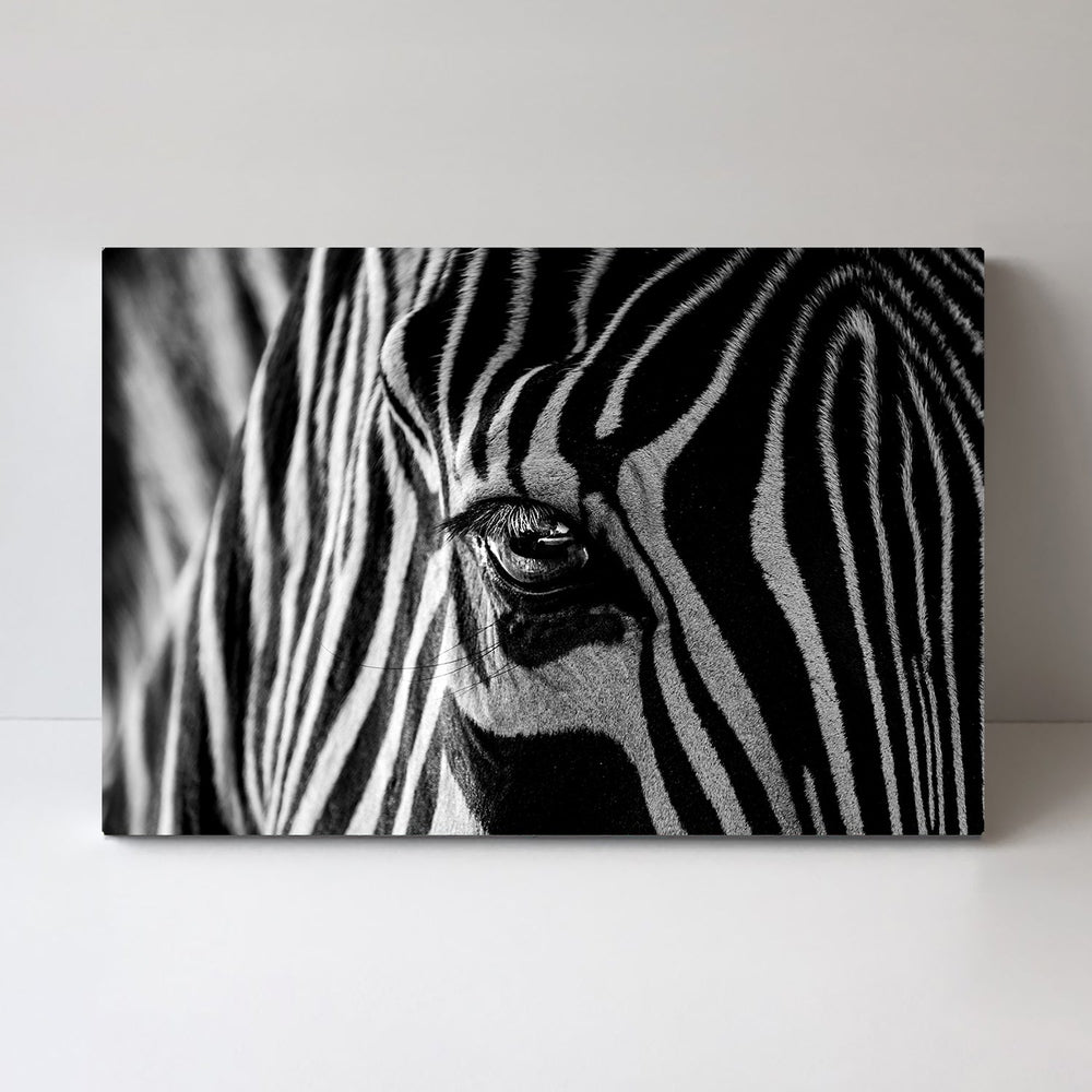 wall-art-print-canvas-poster-framed-Abstract Zebra, By Roy Darnell-by-Plus X Studio-Gioia Wall Art