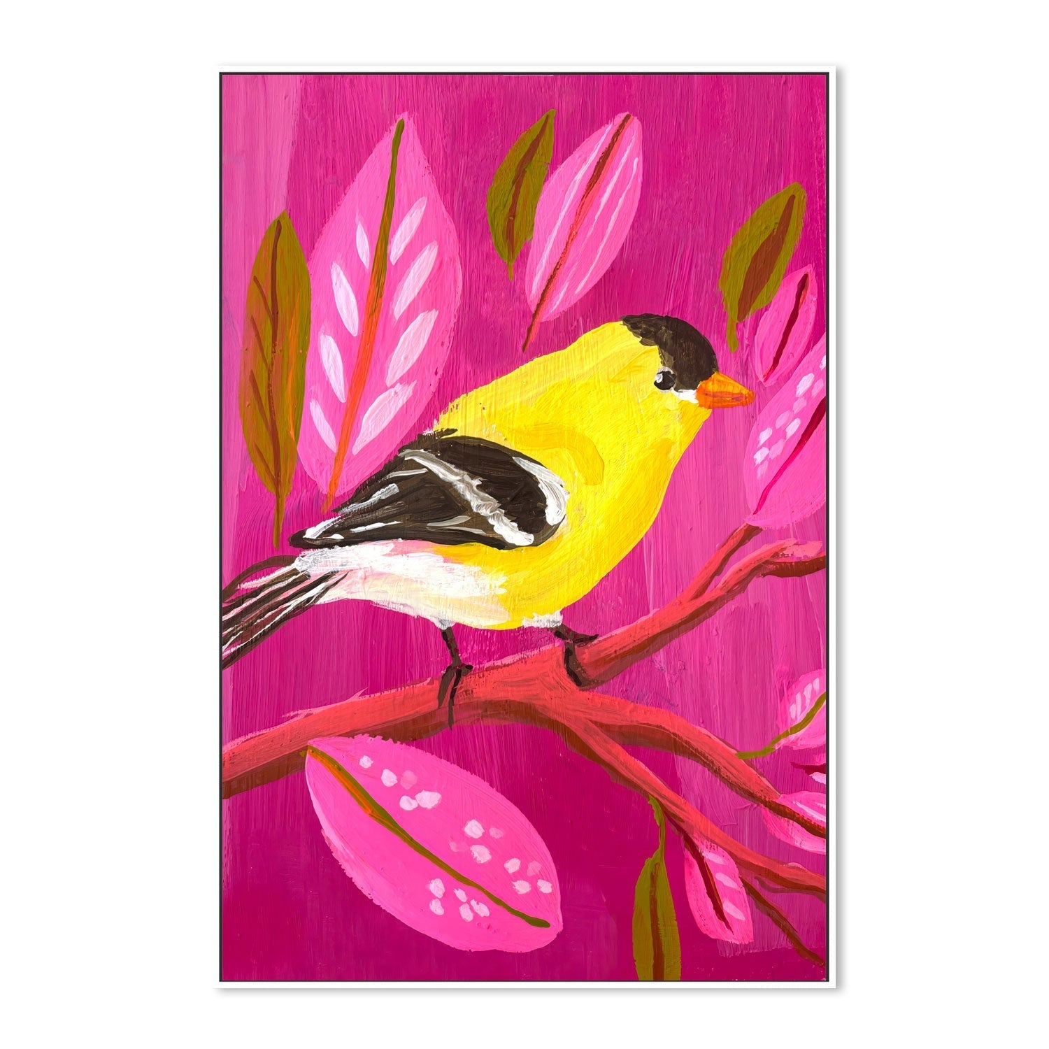 wall-art-print-canvas-poster-framed-American Goldfinch , By Kelly Angelovic-5