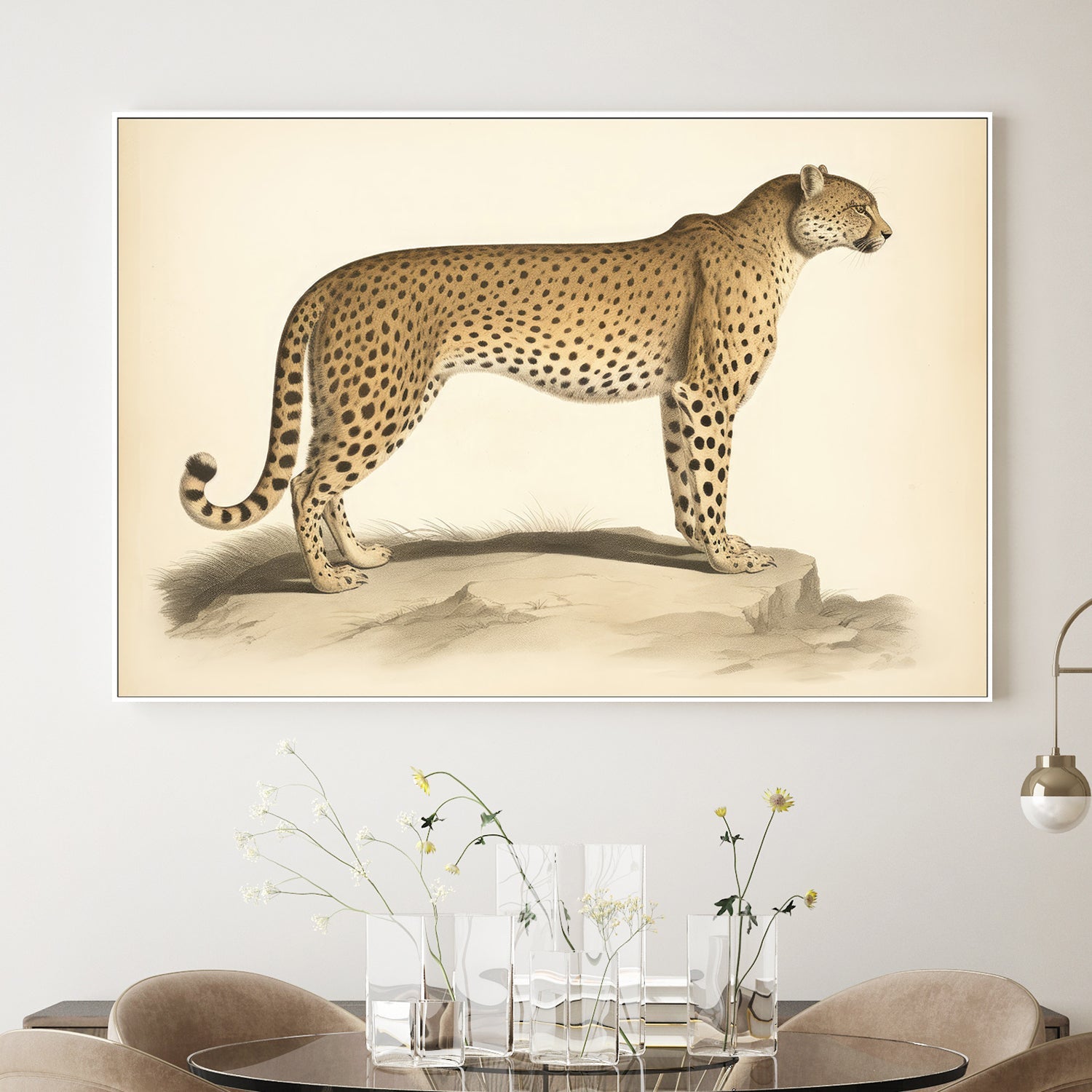 wall-art-print-canvas-poster-framed-Audubon Cheetah-2