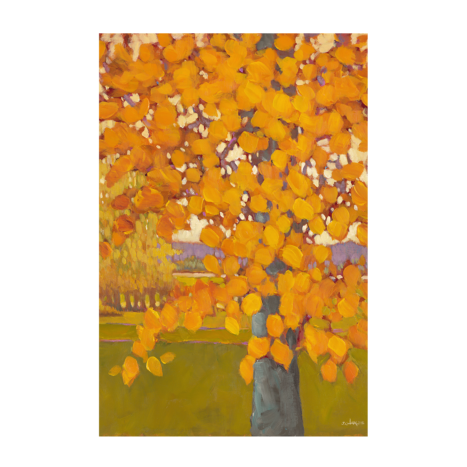 wall-art-print-canvas-poster-framed-Autumn Gold , By J Charles-1