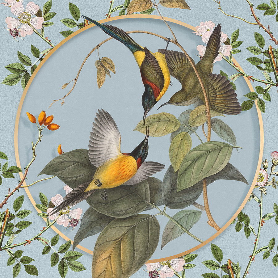 wall-art-print-canvas-poster-framed-Avian Harmony-1