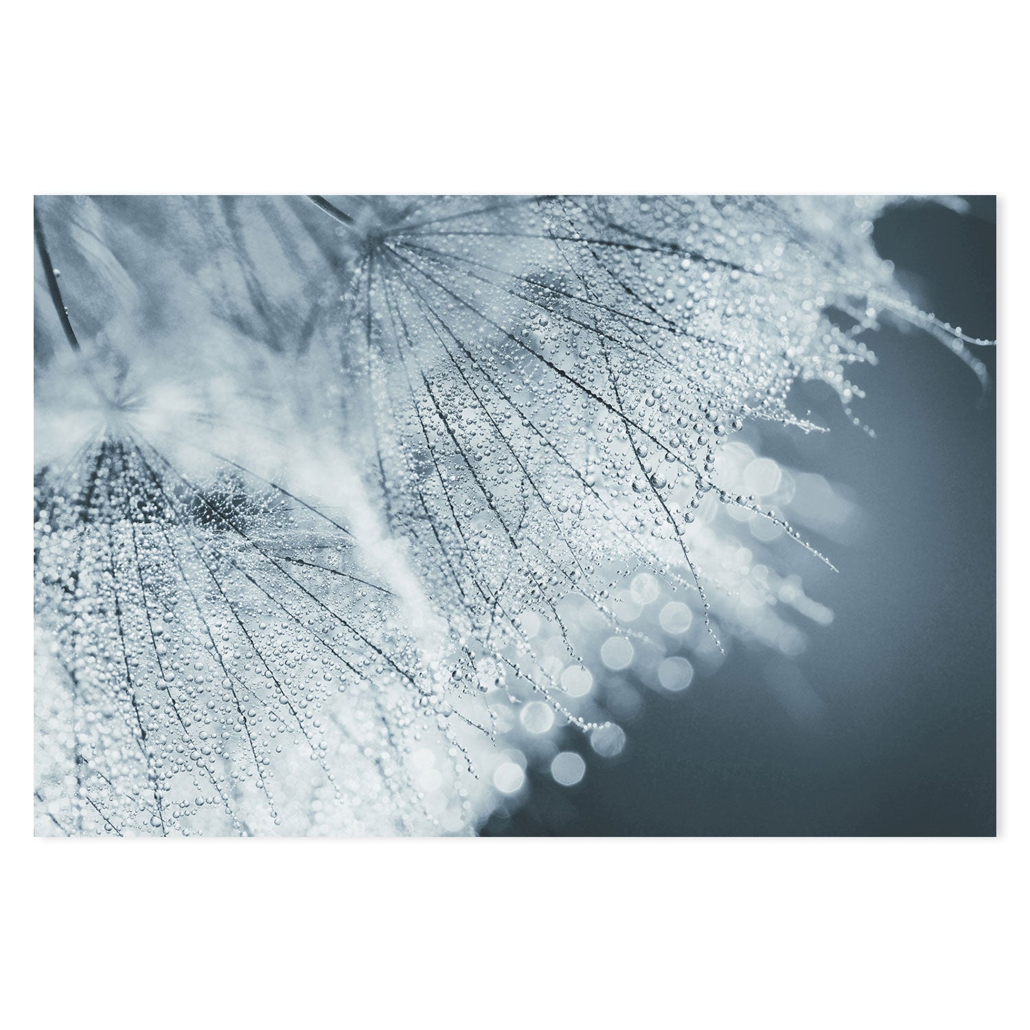 wall-art-print-canvas-poster-framed-Backlight, by Heidi Westum-by-Plus X Studio-Gioia Wall Art