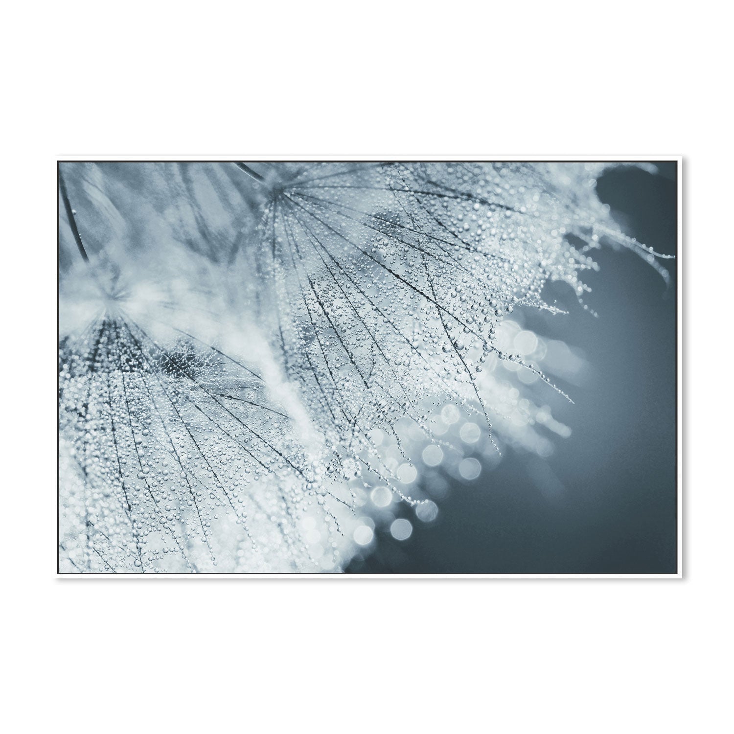 wall-art-print-canvas-poster-framed-Backlight, by Heidi Westum-by-Plus X Studio-Gioia Wall Art