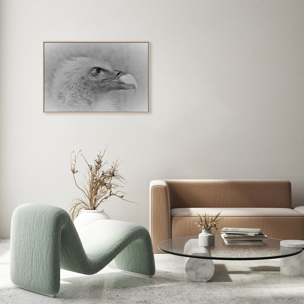 wall-art-print-canvas-poster-framed-Bald Eagle, By Cristian Andreescu-by-Plus X Studio-Gioia Wall Art