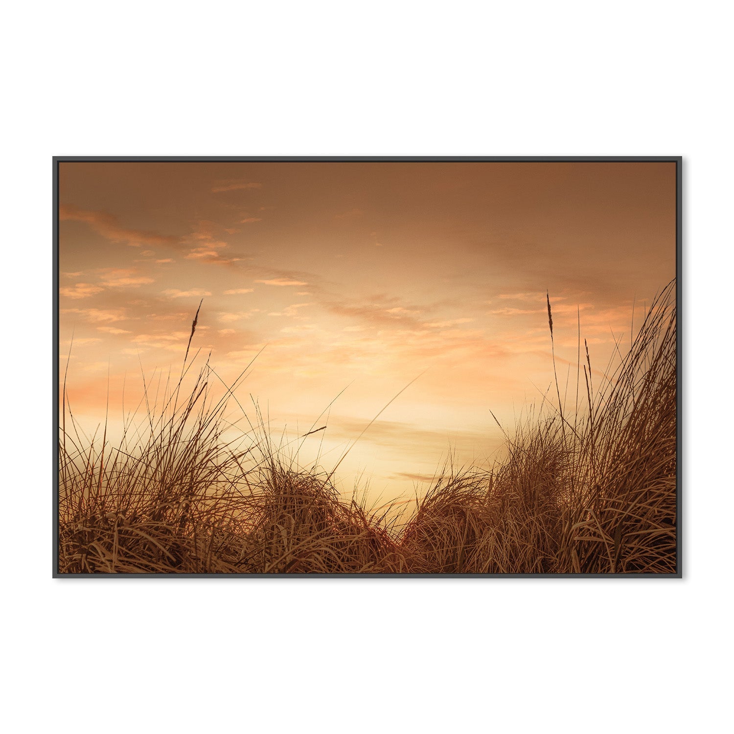 wall-art-print-canvas-poster-framed-Beach Grasses at Sunset-3