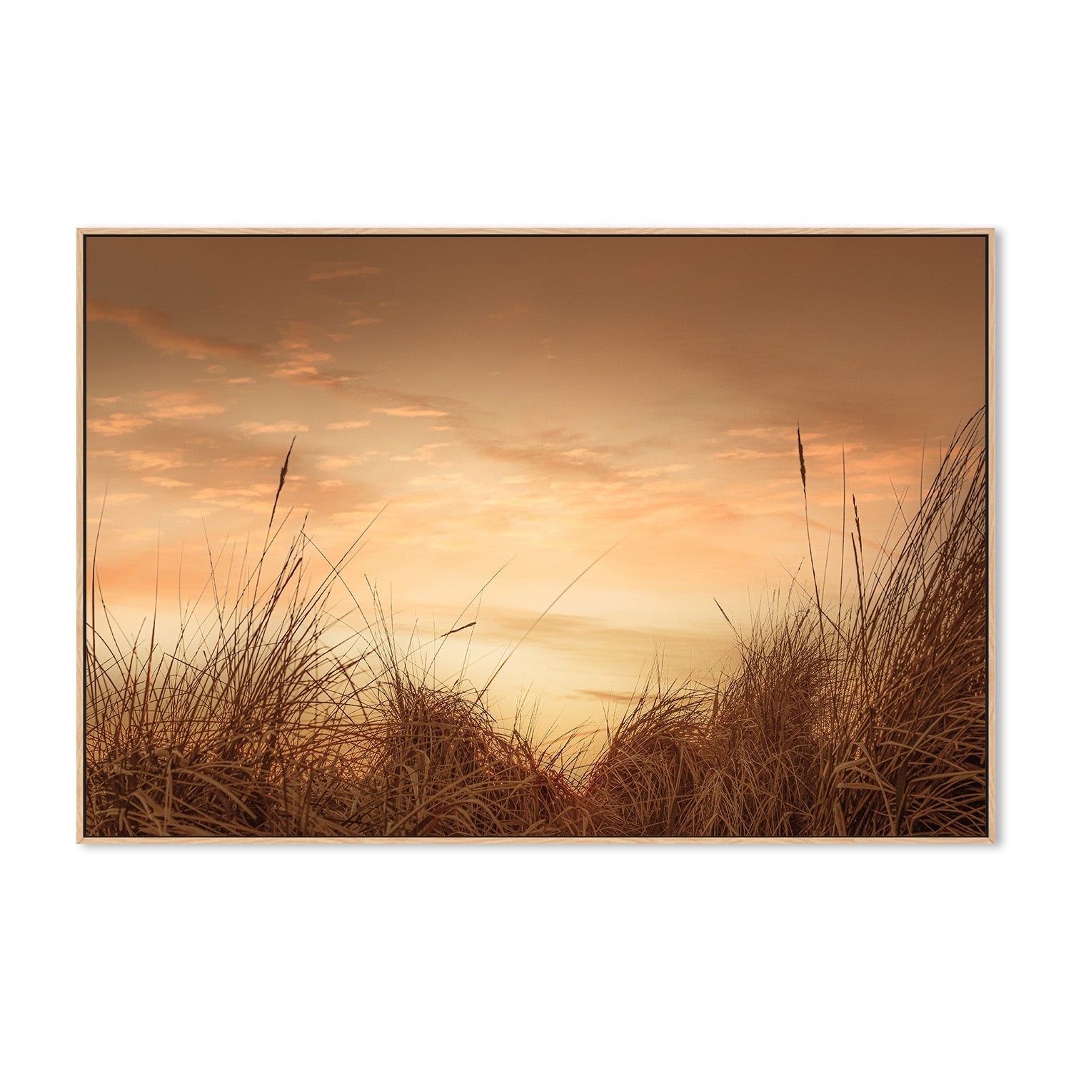 wall-art-print-canvas-poster-framed-Beach Grasses at Sunset-4