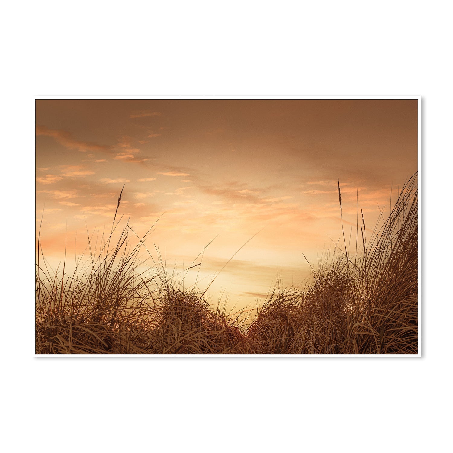 wall-art-print-canvas-poster-framed-Beach Grasses at Sunset-5