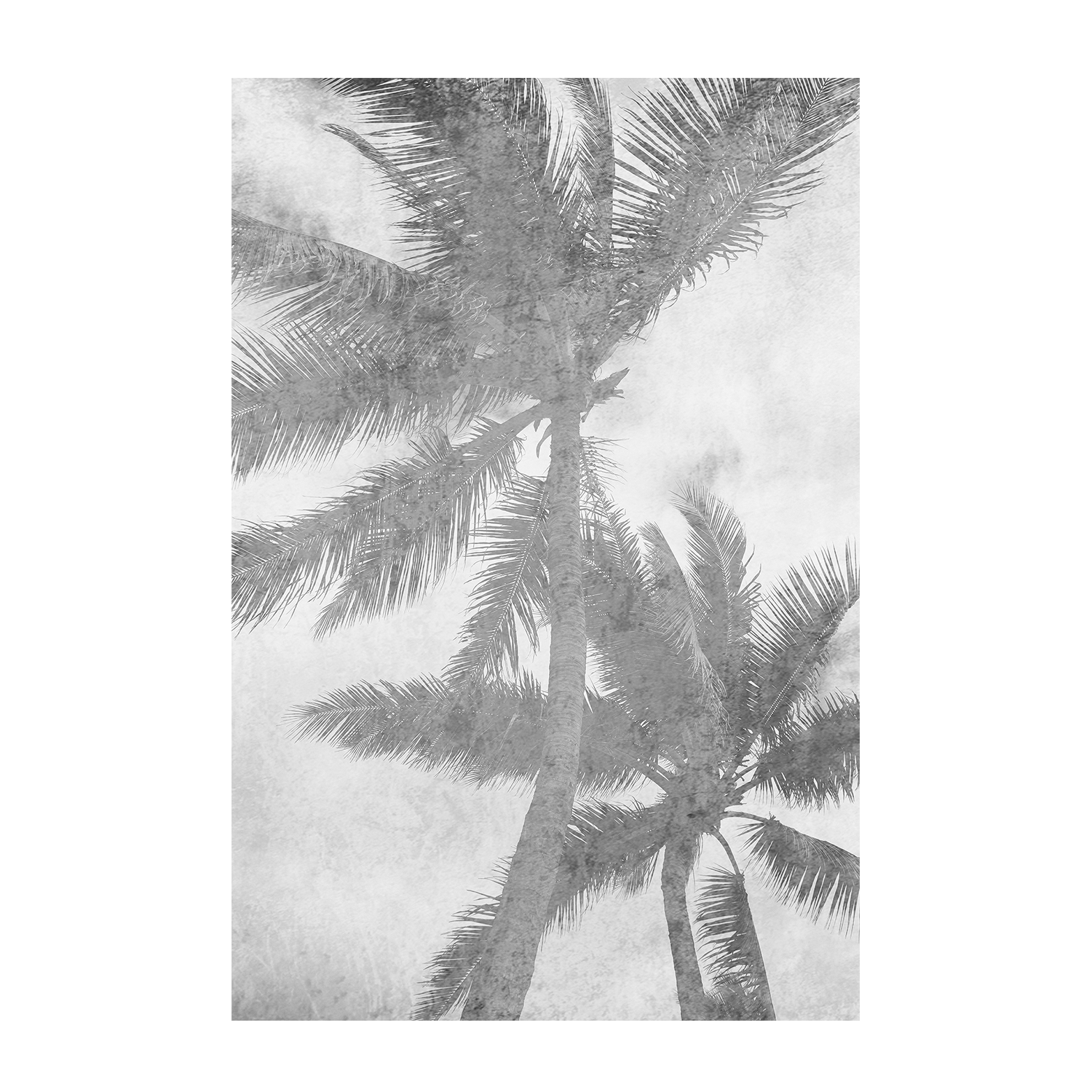 Beachscape Pink Palms, Style A , By Irena Orlov