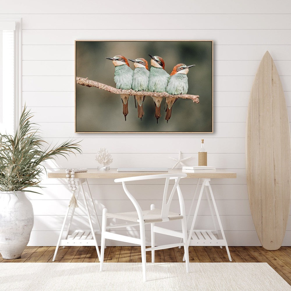 wall-art-print-canvas-poster-framed-Bee-Eater Resting, By Xavier Ortega-by-Plus X Studio-Gioia Wall Art