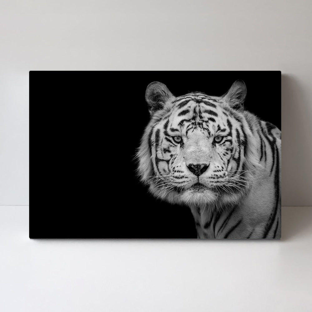 wall-art-print-canvas-poster-framed-Bengal White Tiger, By Nauzet Baez Photography-by-Plus X Studio-Gioia Wall Art