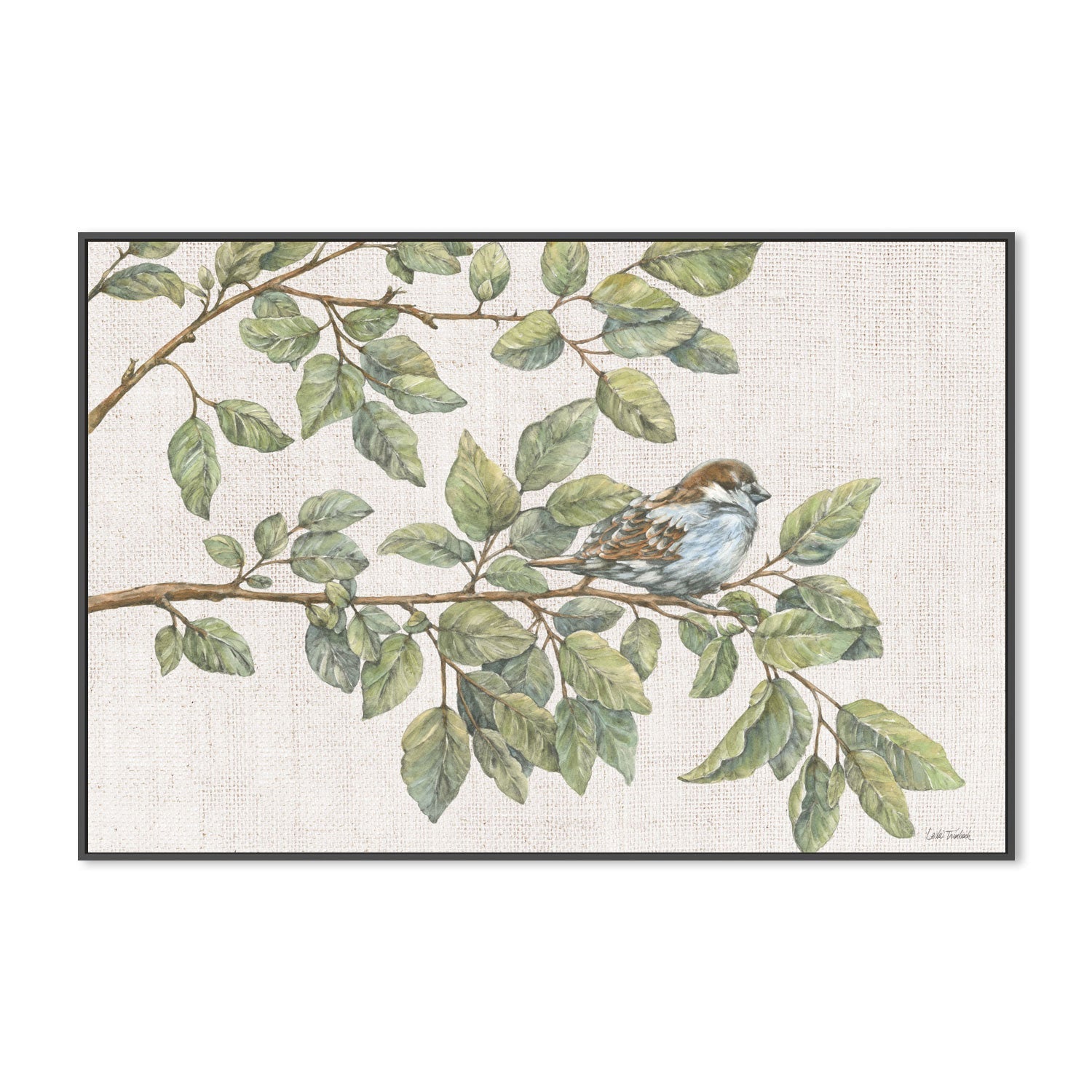 wall-art-print-canvas-poster-framed-Birch On A Branch , By Leslie Trimbach-3