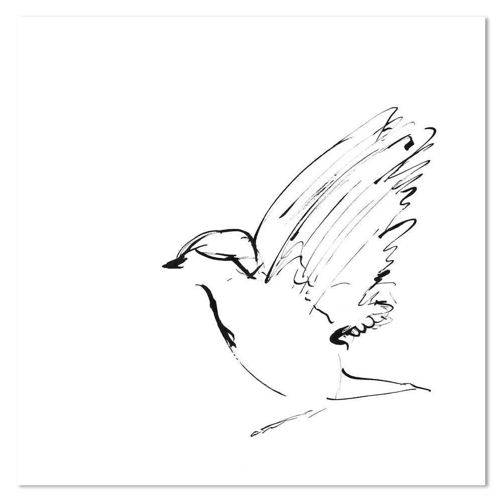wall-art-print-canvas-poster-framed-Bird Sketch-by-Danushka Abeygoda-Gioia Wall Art