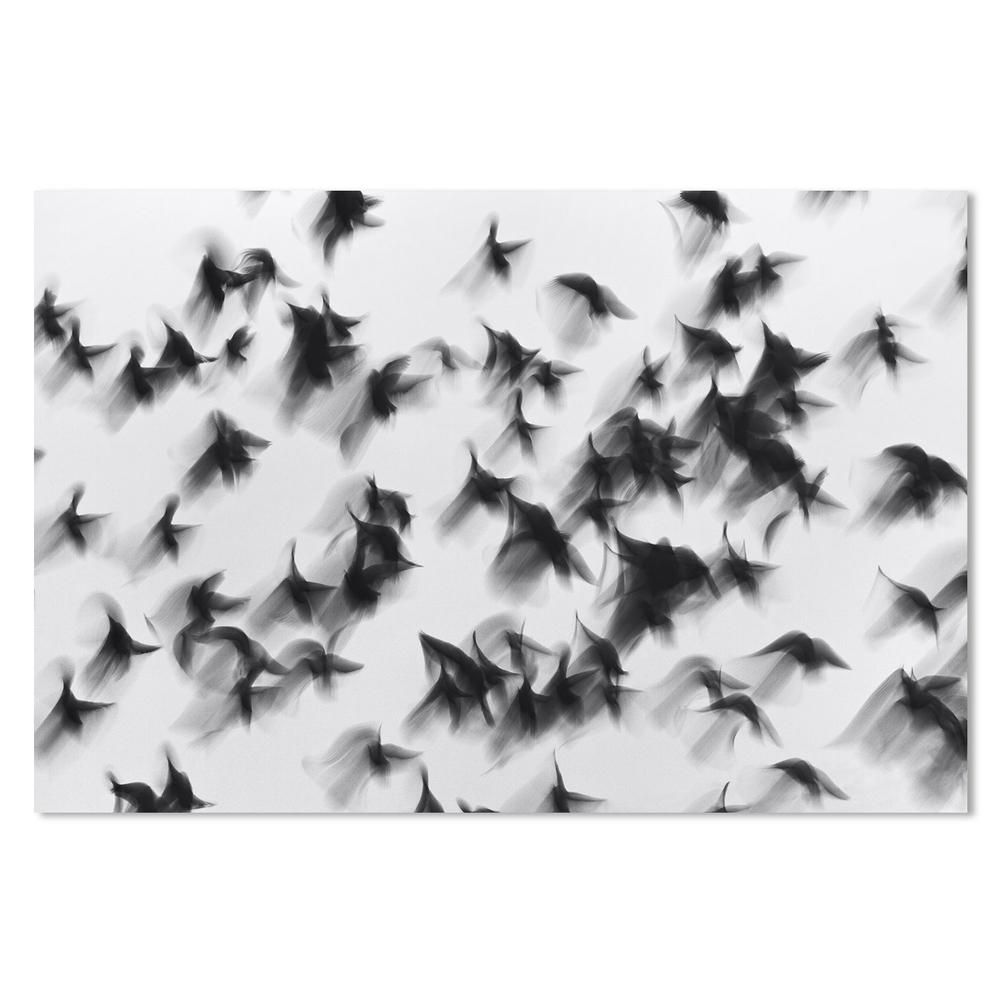 wall-art-print-canvas-poster-framed-Birds, By Marina Yushina-by-Plus X Studio-Gioia Wall Art