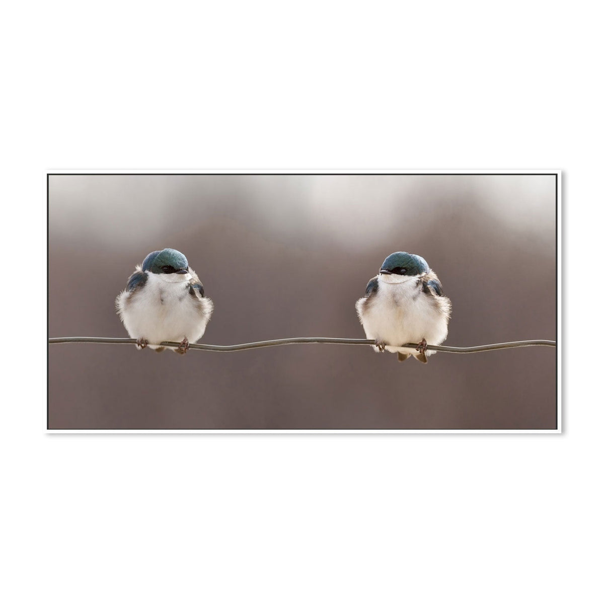 wall-art-print-canvas-poster-framed-Birds On A Wire, by Lucie Gagnon-by-Plus X Studio-Gioia Wall Art