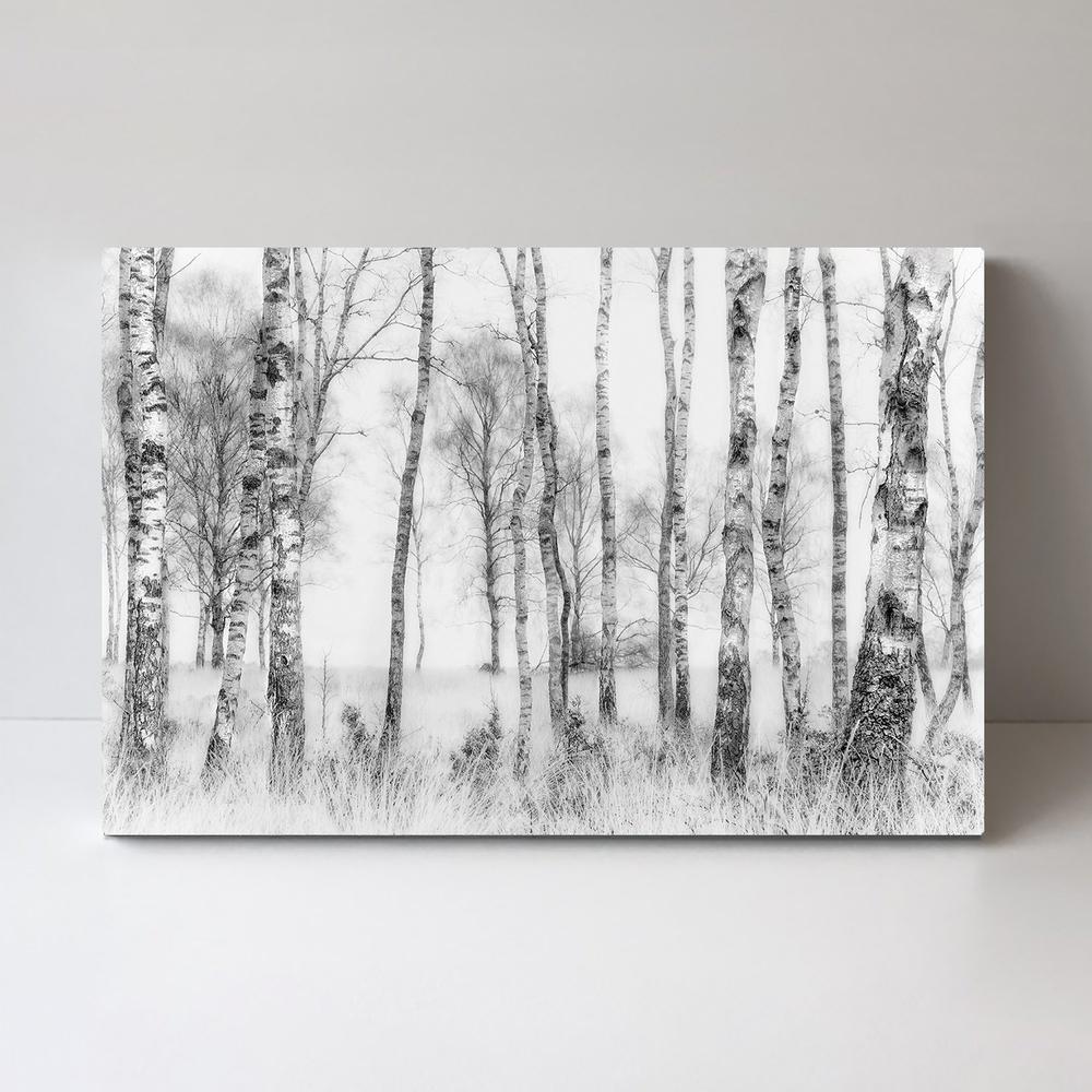 Black And White, by Nel Talen-Framed-Canvas-Print-Poster-Gioia Wall Art