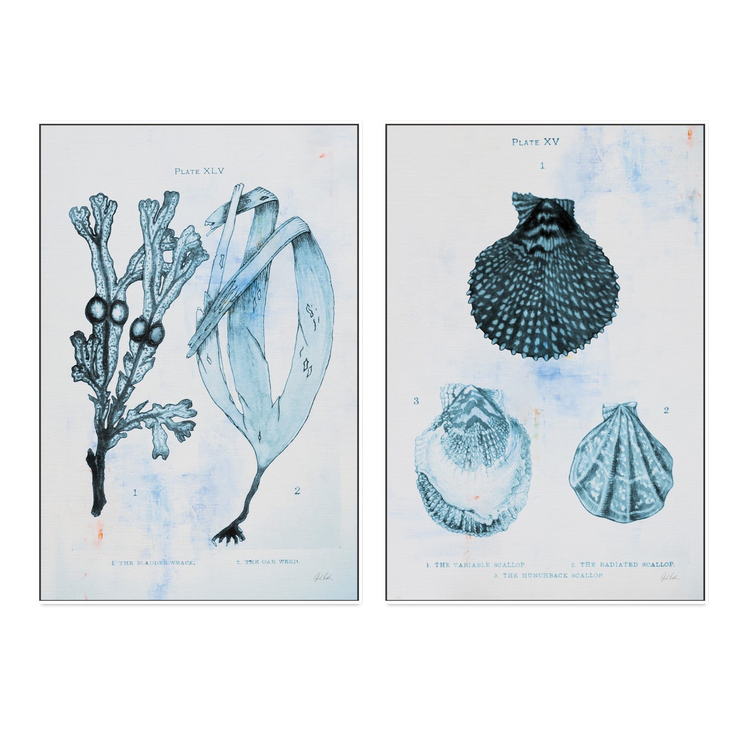 wall-art-print-canvas-poster-framed-Blue Bay, Style A & B, Set Of 2 , By Deborah Revell-5