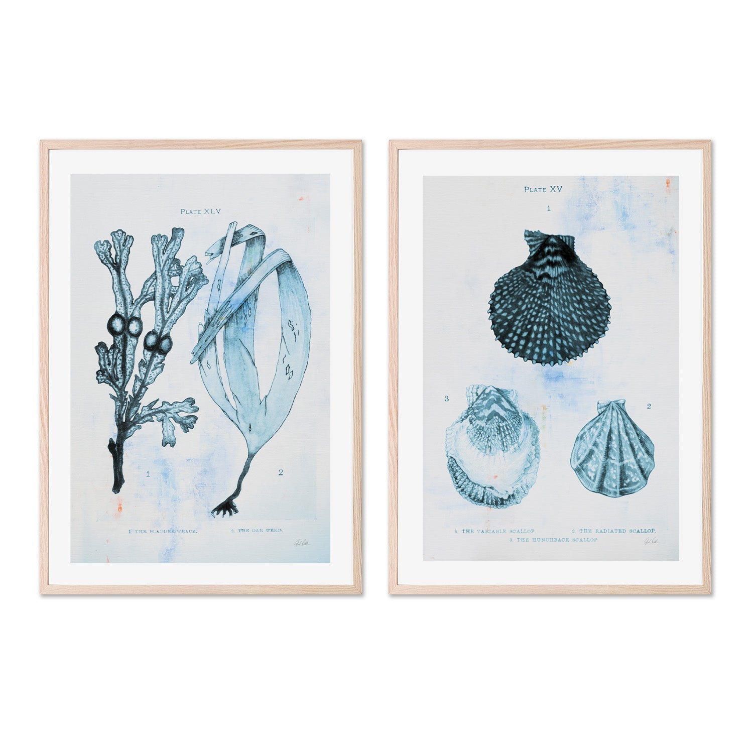 wall-art-print-canvas-poster-framed-Blue Bay, Style A & B, Set Of 2 , By Deborah Revell-6