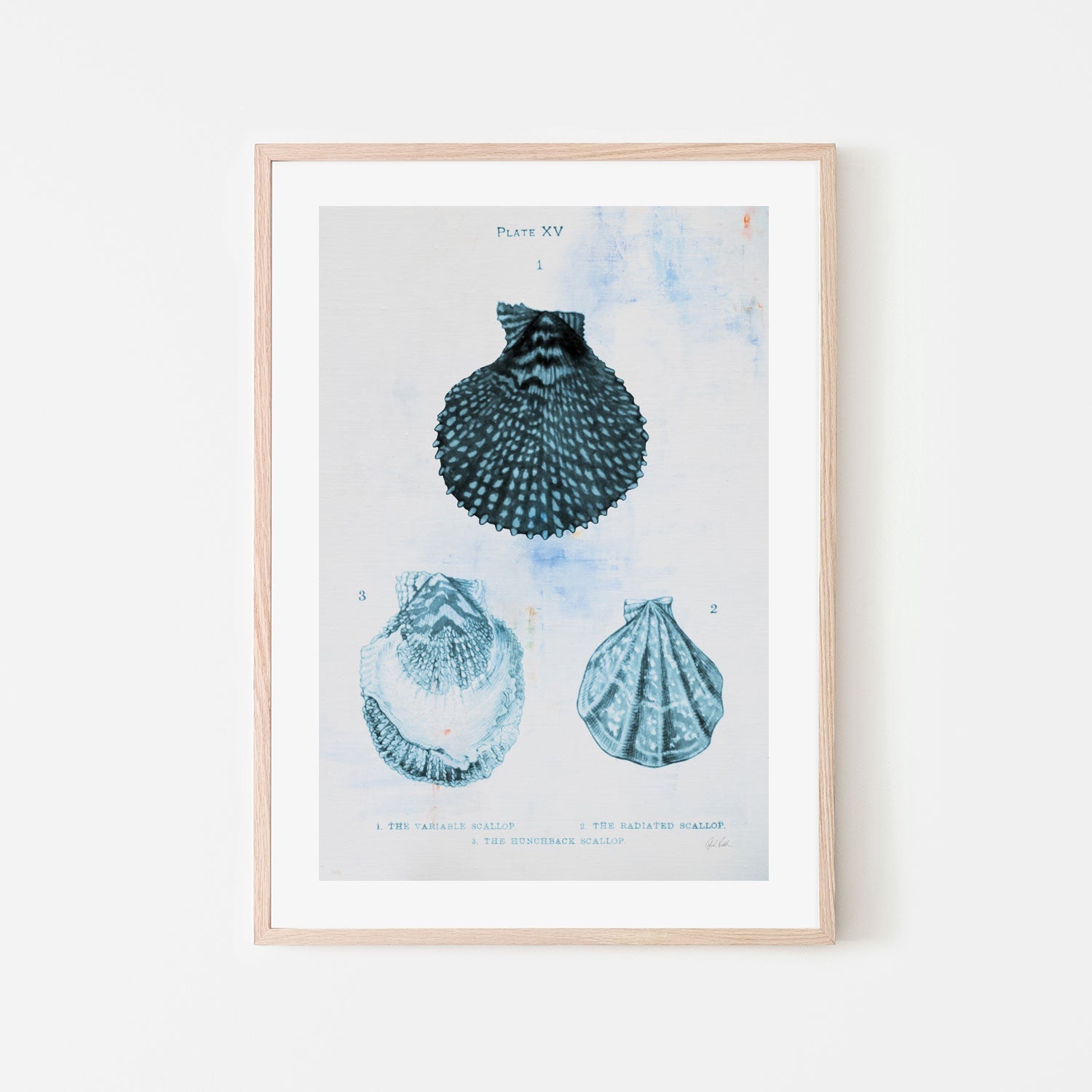 wall-art-print-canvas-poster-framed-Blue Bay, Style B , By Deborah Revell-6