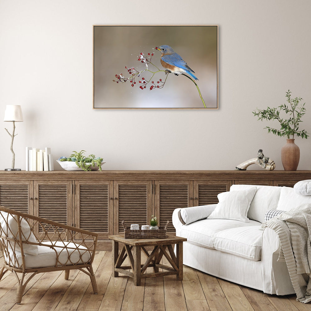 wall-art-print-canvas-poster-framed-Blue Bird In Winter, By Jia Chen-by-Plus X Studio-Gioia Wall Art