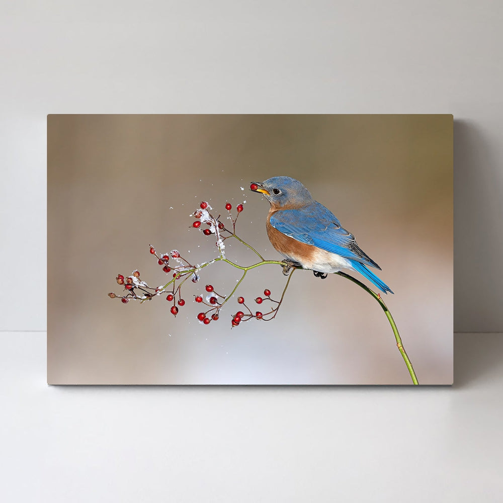 wall-art-print-canvas-poster-framed-Blue Bird In Winter, By Jia Chen-by-Plus X Studio-Gioia Wall Art