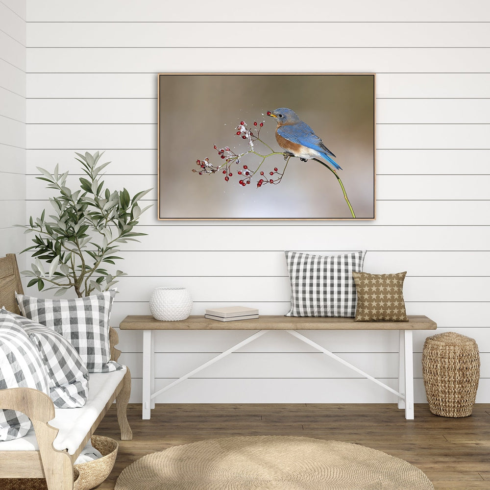 wall-art-print-canvas-poster-framed-Blue Bird In Winter, By Jia Chen-by-Plus X Studio-Gioia Wall Art