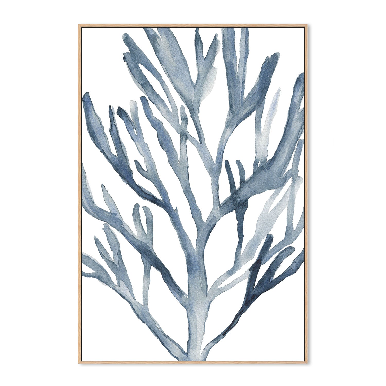 wall-art-print-canvas-poster-framed-Blue Coral, Style A-by-Emily Wood-Gioia Wall Art