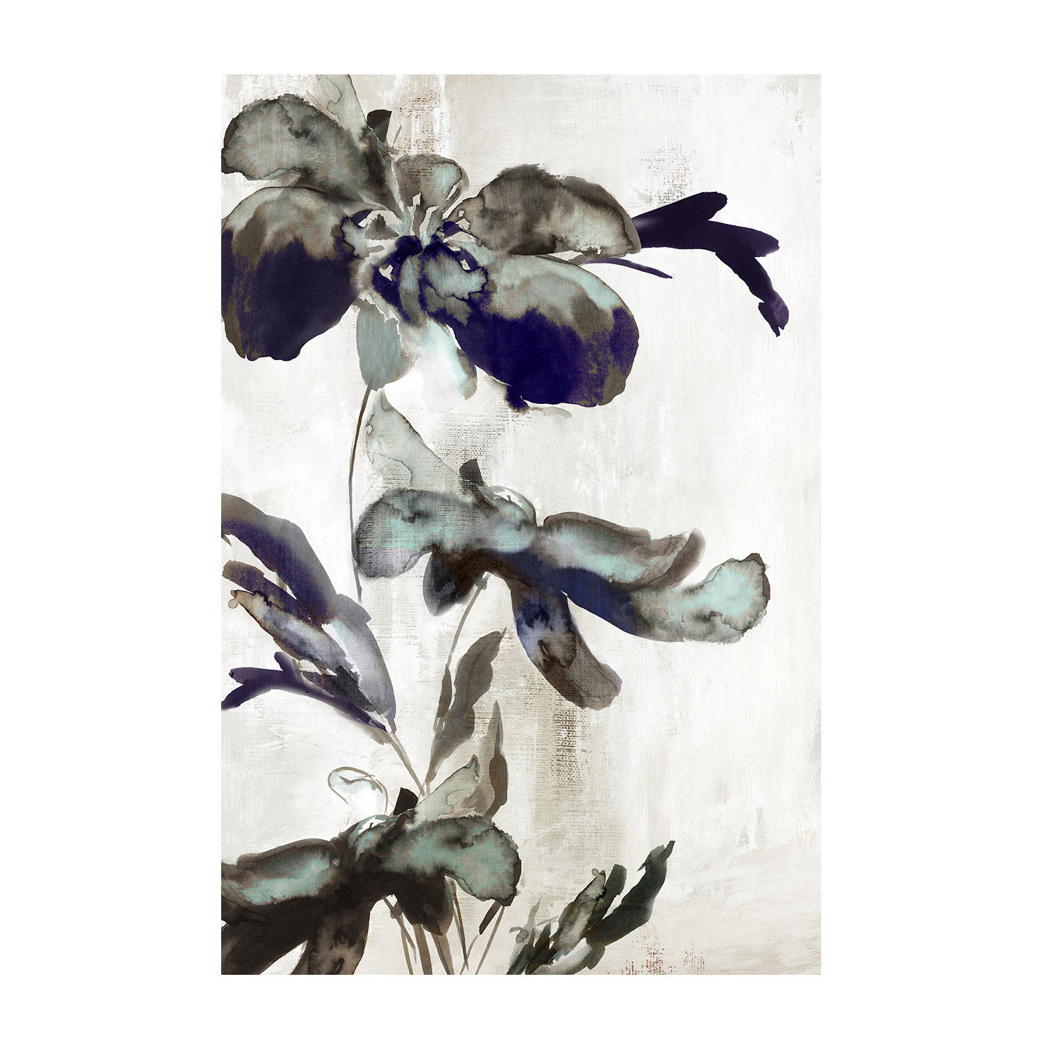 wall-art-print-canvas-poster-framed-Blue Daphne, Style A , By Eva Watts-1