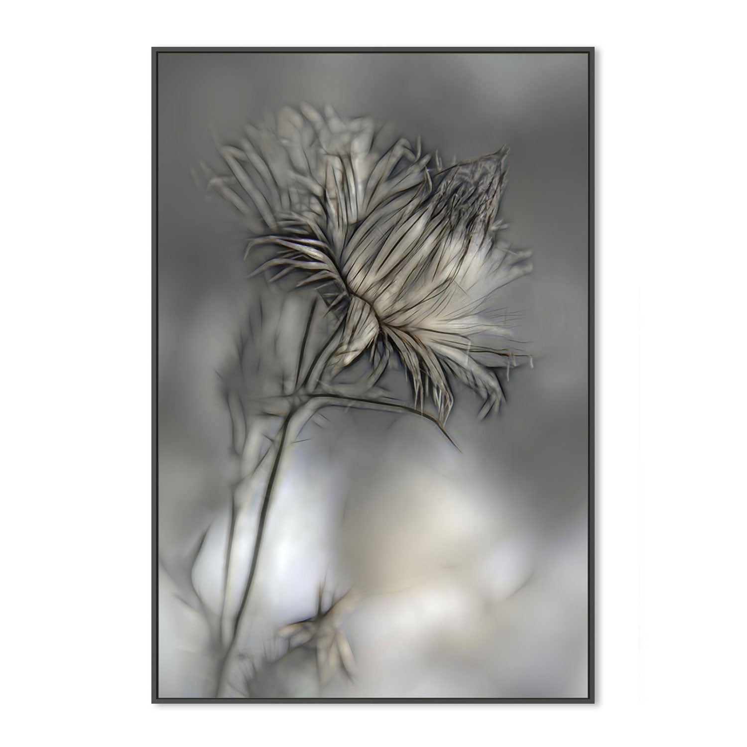 wall-art-print-canvas-poster-framed-Blurred Flower , By Gilbert Claes-GIOIA-WALL-ART