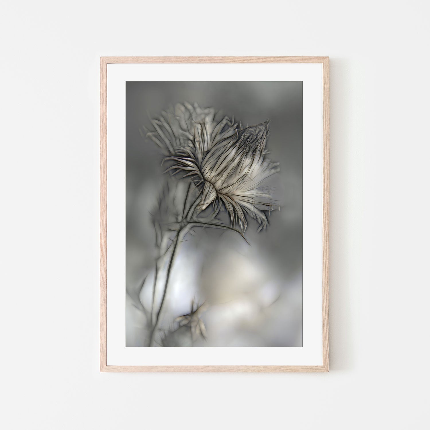 wall-art-print-canvas-poster-framed-Blurred Flower , By Gilbert Claes-GIOIA-WALL-ART
