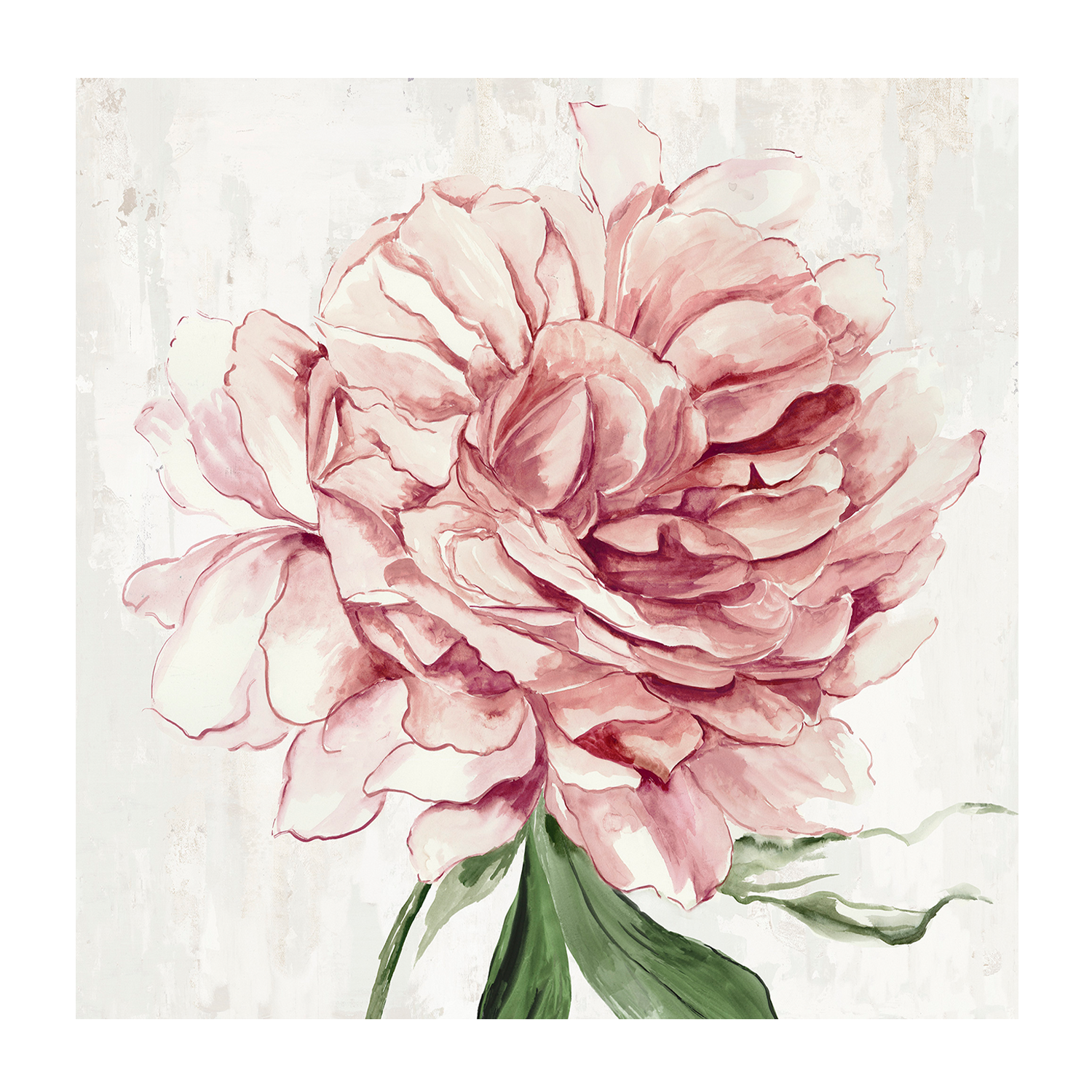 wall-art-print-canvas-poster-framed-Blush Beauty, Style A , By Asia Jensen-1