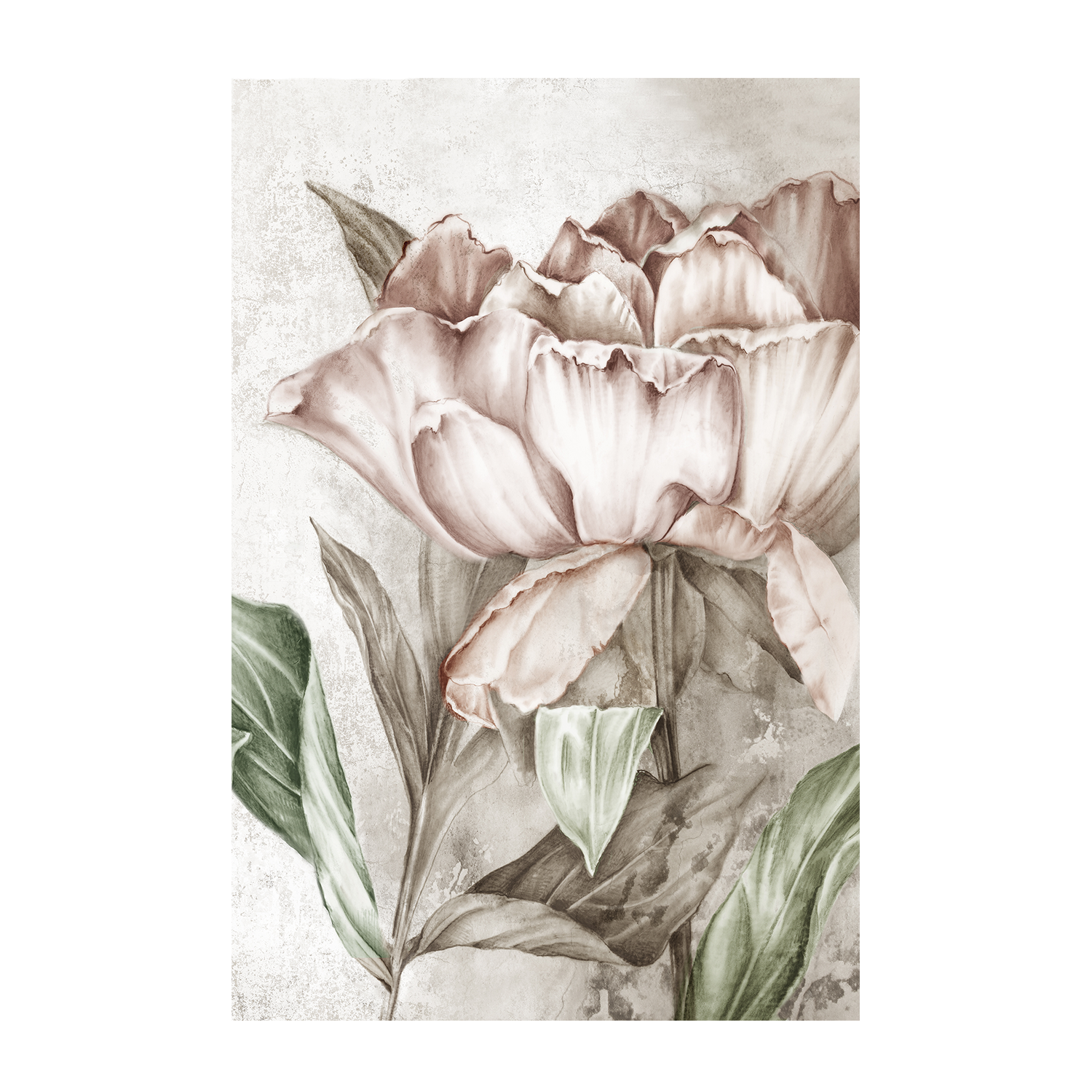 wall-art-print-canvas-poster-framed-Blush Botanical , By Eva Watts-1