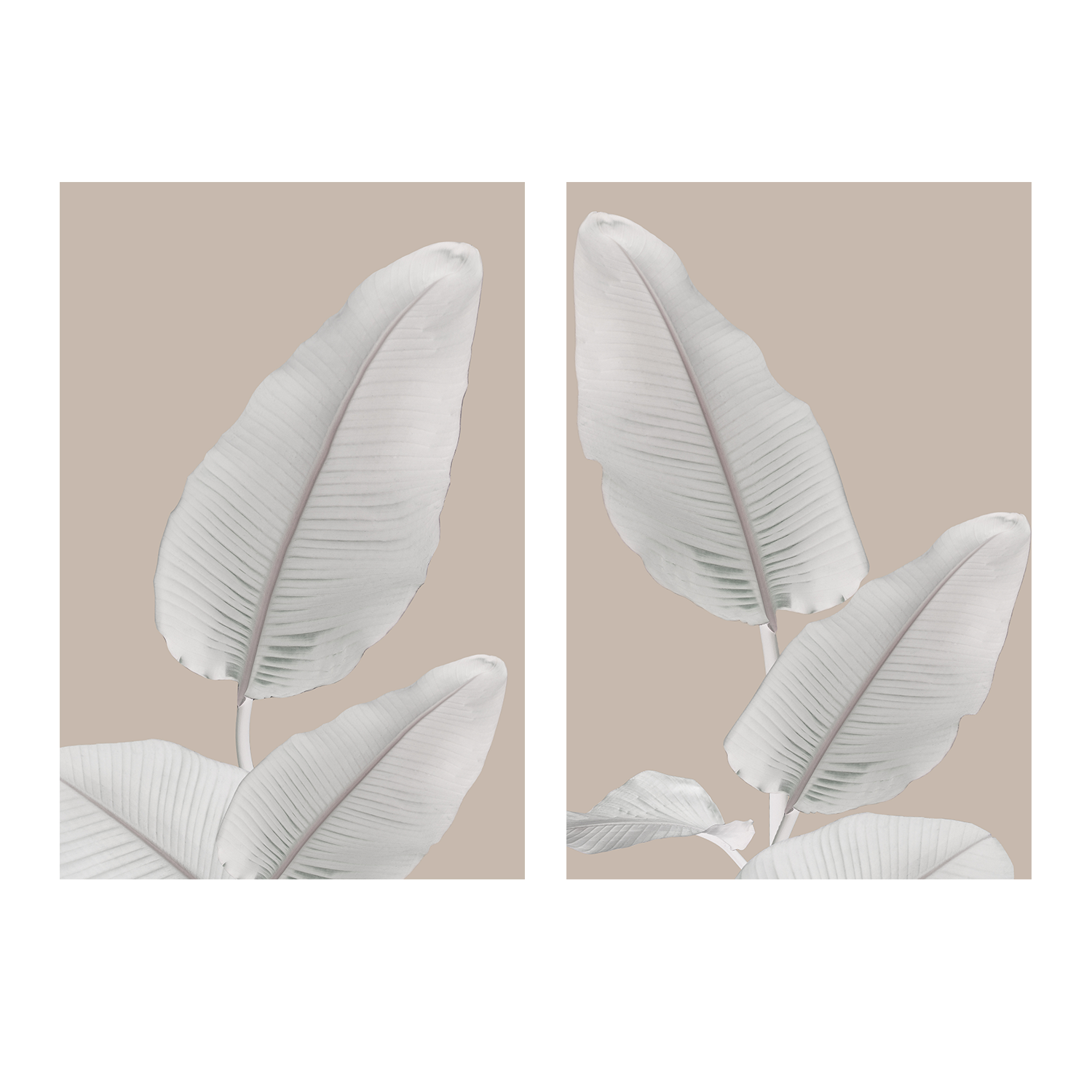 wall-art-print-canvas-poster-framed-Blush Paradise, Style A & B, Set Of 2 , By Danny Singh-1